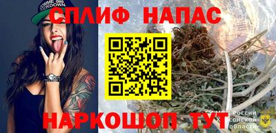 PSILOCYBIN Нальчик