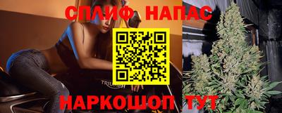 PSILOCYBIN Нальчик