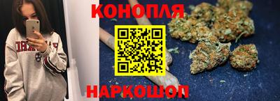 PSILOCYBIN Нальчик