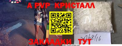 PSILOCYBIN Нальчик