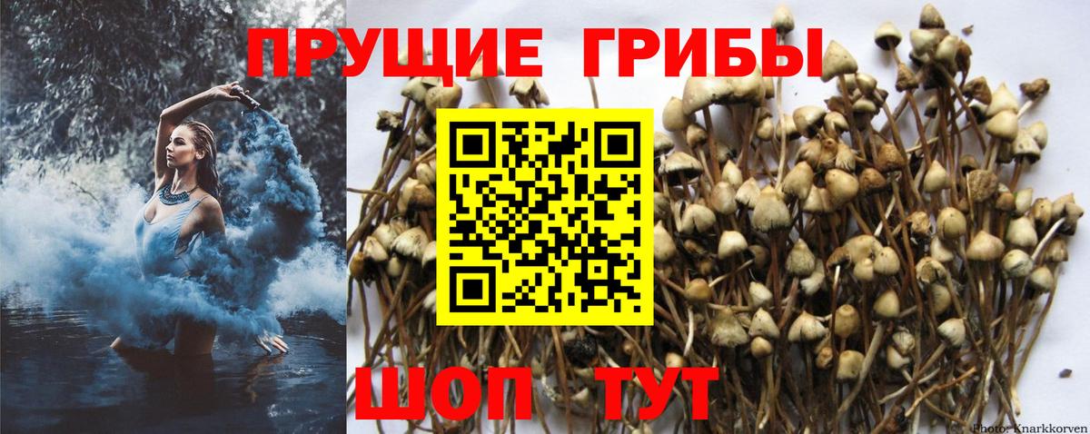 ГАШ Тобольск
