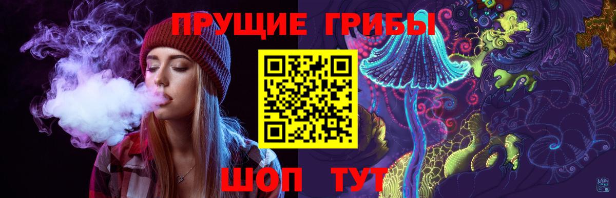 Тобольск  Псилоцибиновые грибы Magic Shrooms  Вход с VPN 